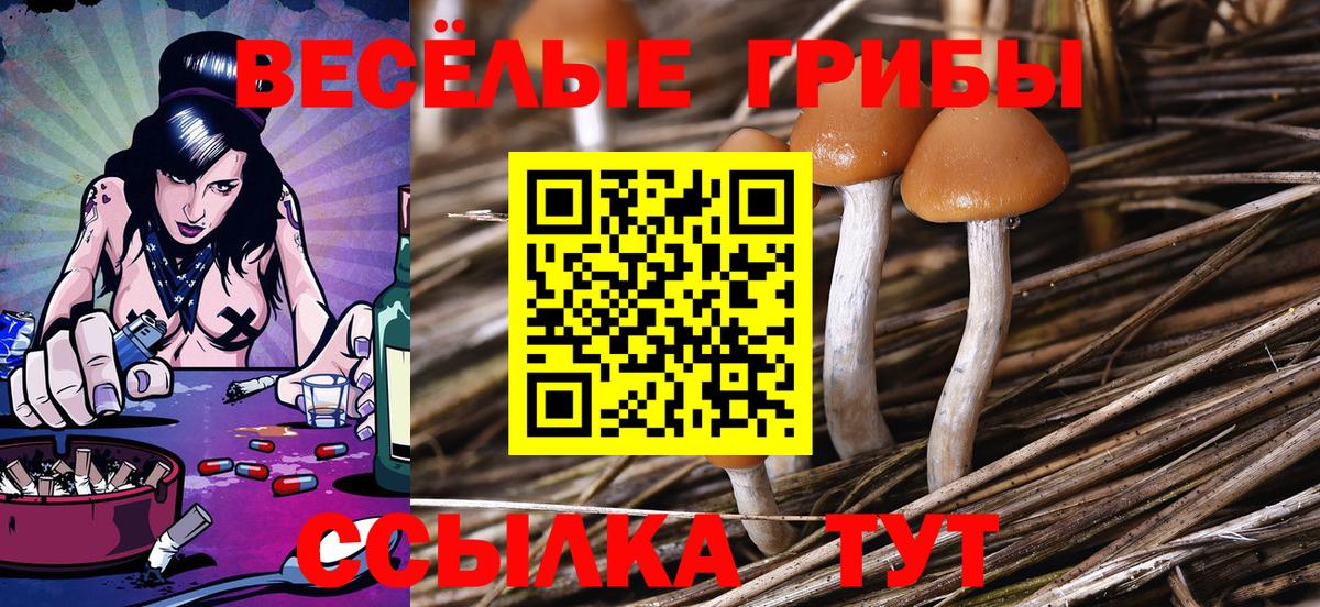 Псилоцибиновые грибы MAGIC MUSHROOMS  где найти наркотики  Сыктывкар  Вход с VPN 